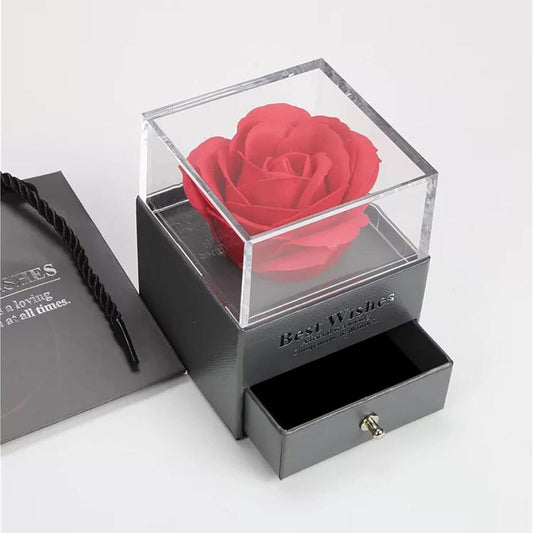 Rosa Eterna + Collar - Flor Preservada en Cúpula de Cristal